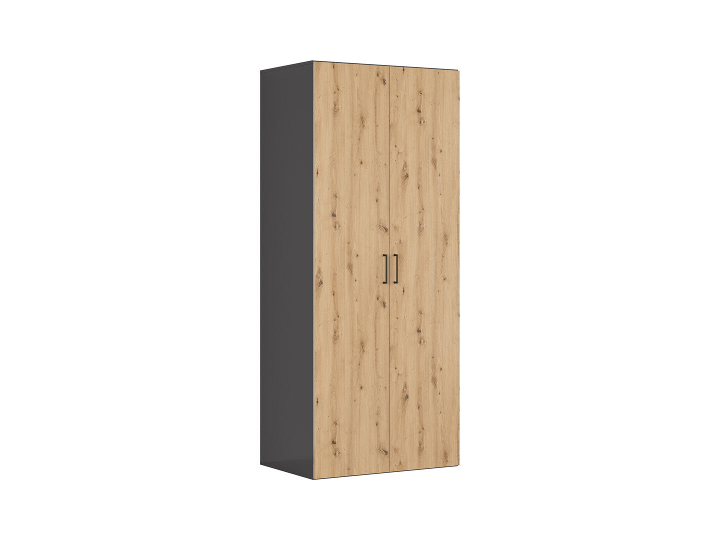 Double-door wardrobe Flex 100 cm graphite/Artisan oak