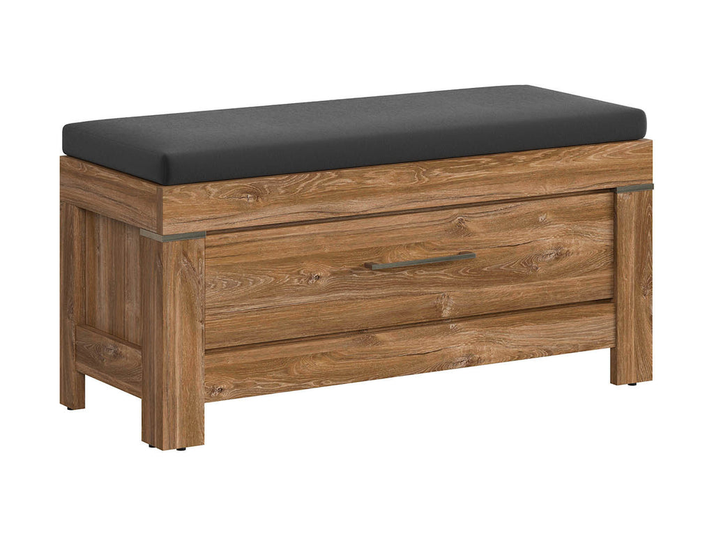 Gent — Cabinet na buty